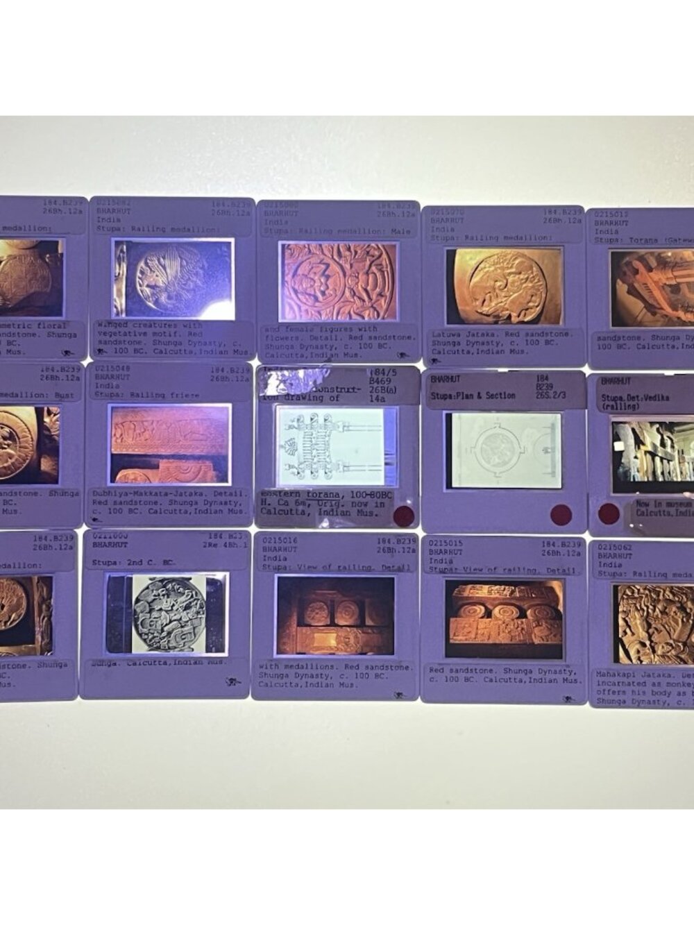15 Vintage Bharhut Stupa Ancient India UCI Visual Resources Coll 35mm Slides (D)